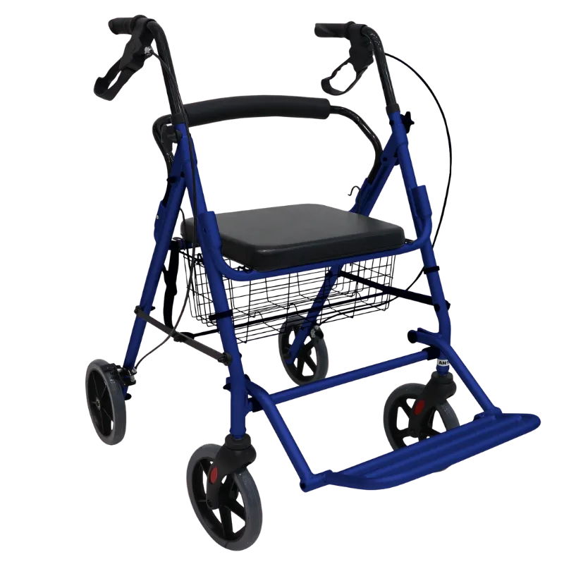 [AN10A] Andadera Paso a Paso Handy (Azul)